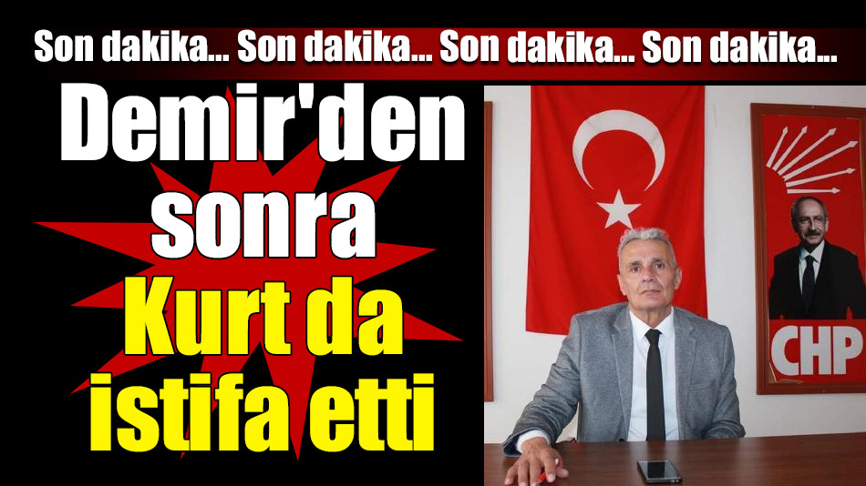 Demir'den sonra Kurt da istifa etti