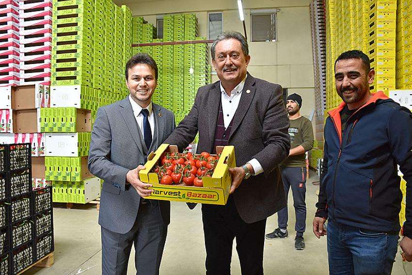 Demre Toptancı Hali açıldı