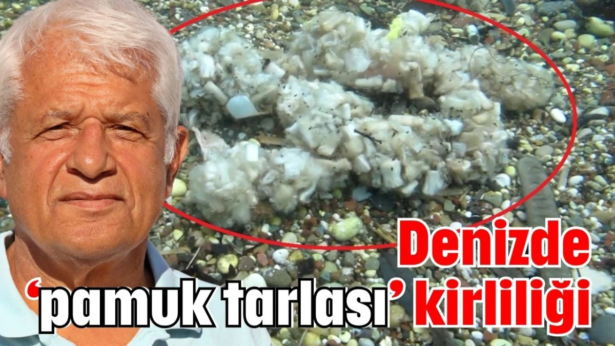 Denizde ‘pamuk tarlası’ kirliliği
