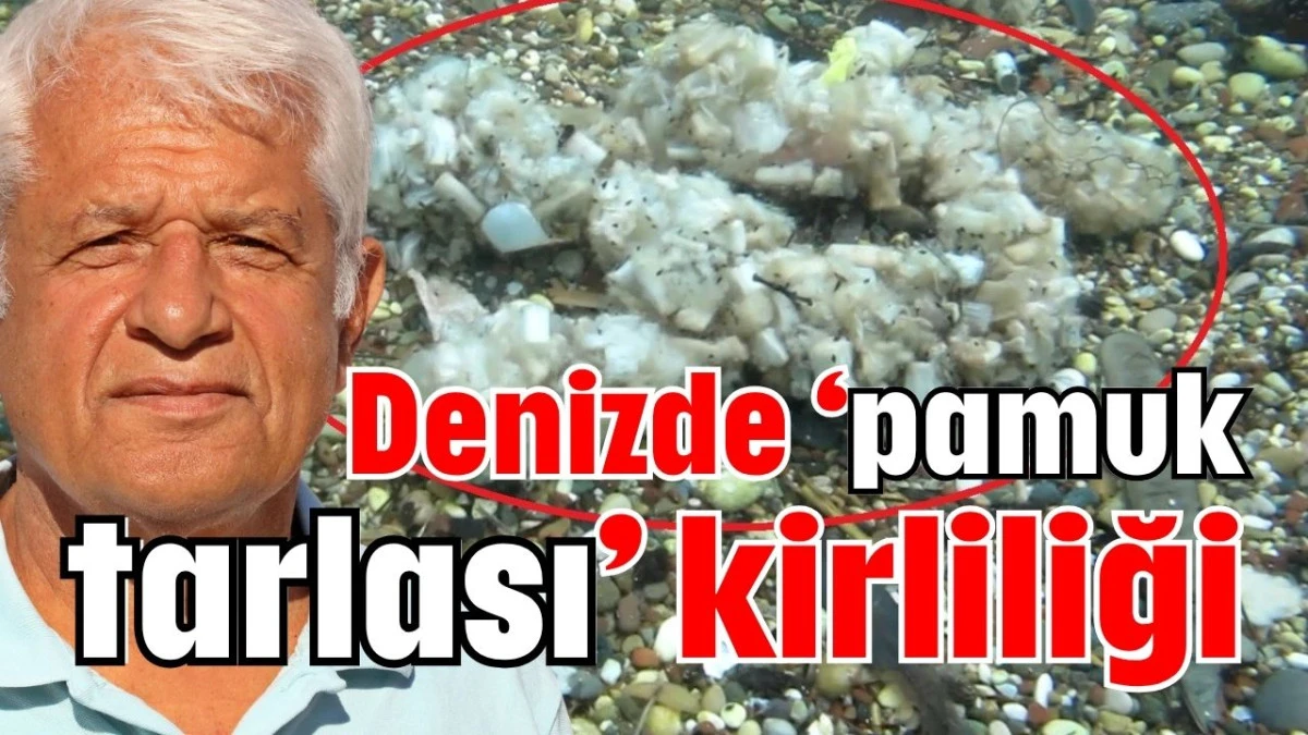 Denizde ‘pamuk tarlası’ kirliliği