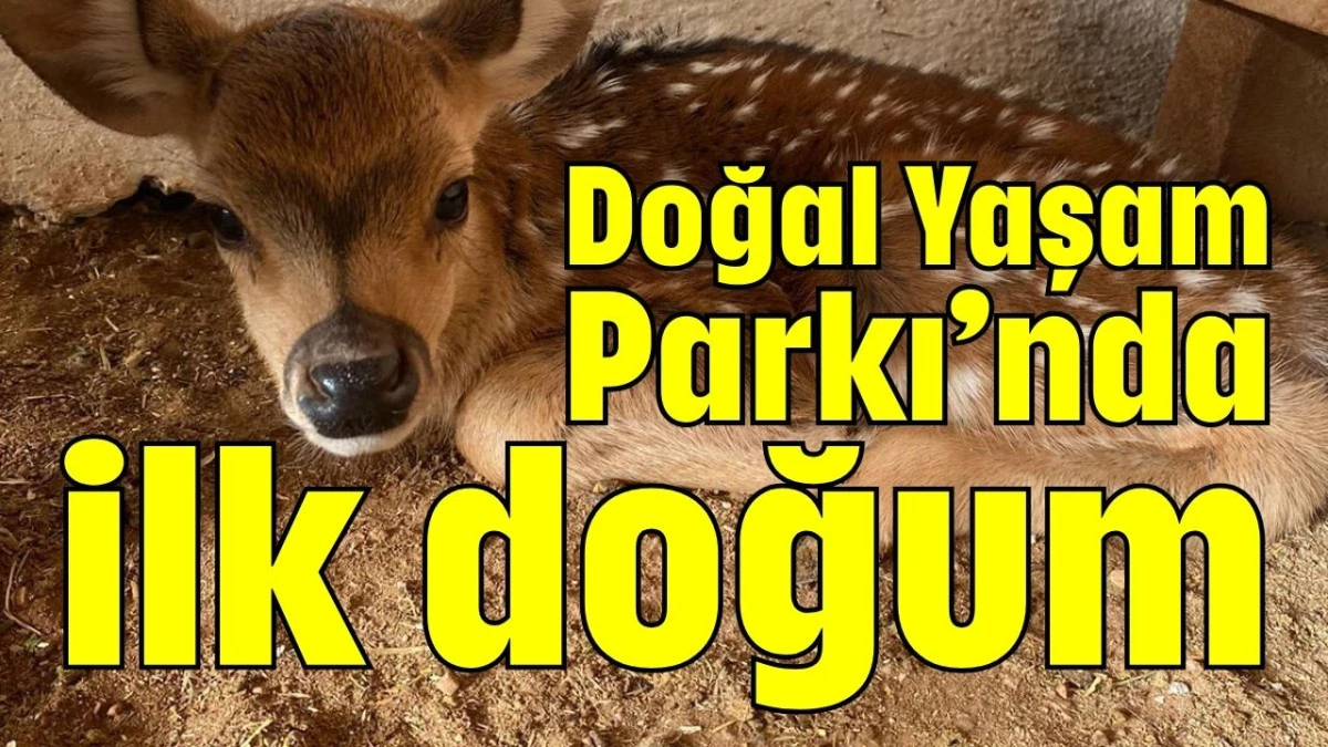 Doğal Yaşam Parkı&rsquo;nda ilk doğum