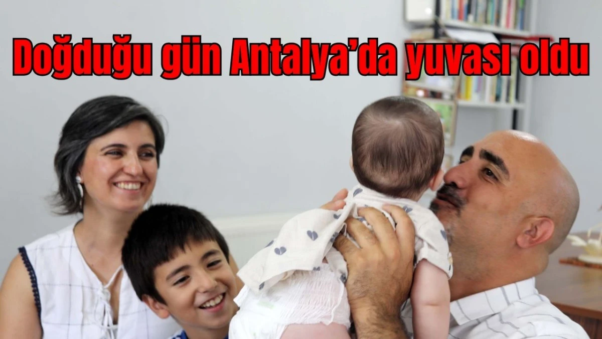 Doğduğu gün Antalya'da yuvası oldu