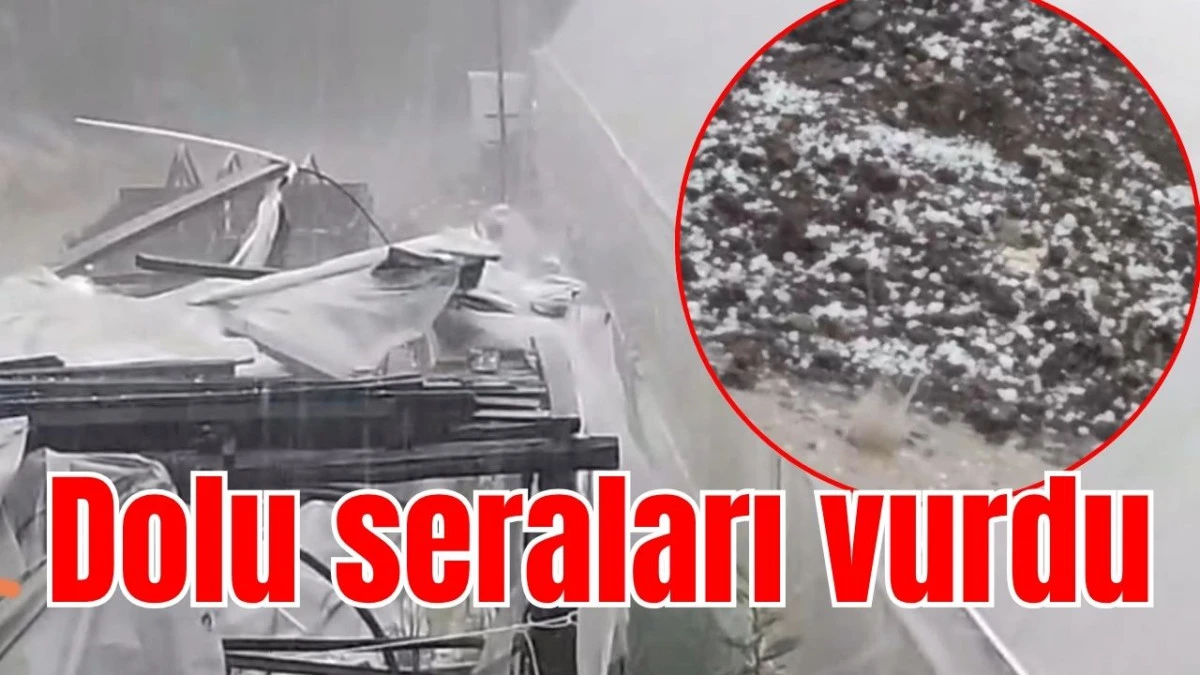 Dolu seraları vurdu