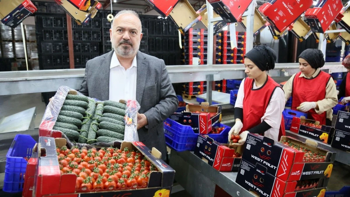 Domates ve salatalıkta Ukrayna krizi