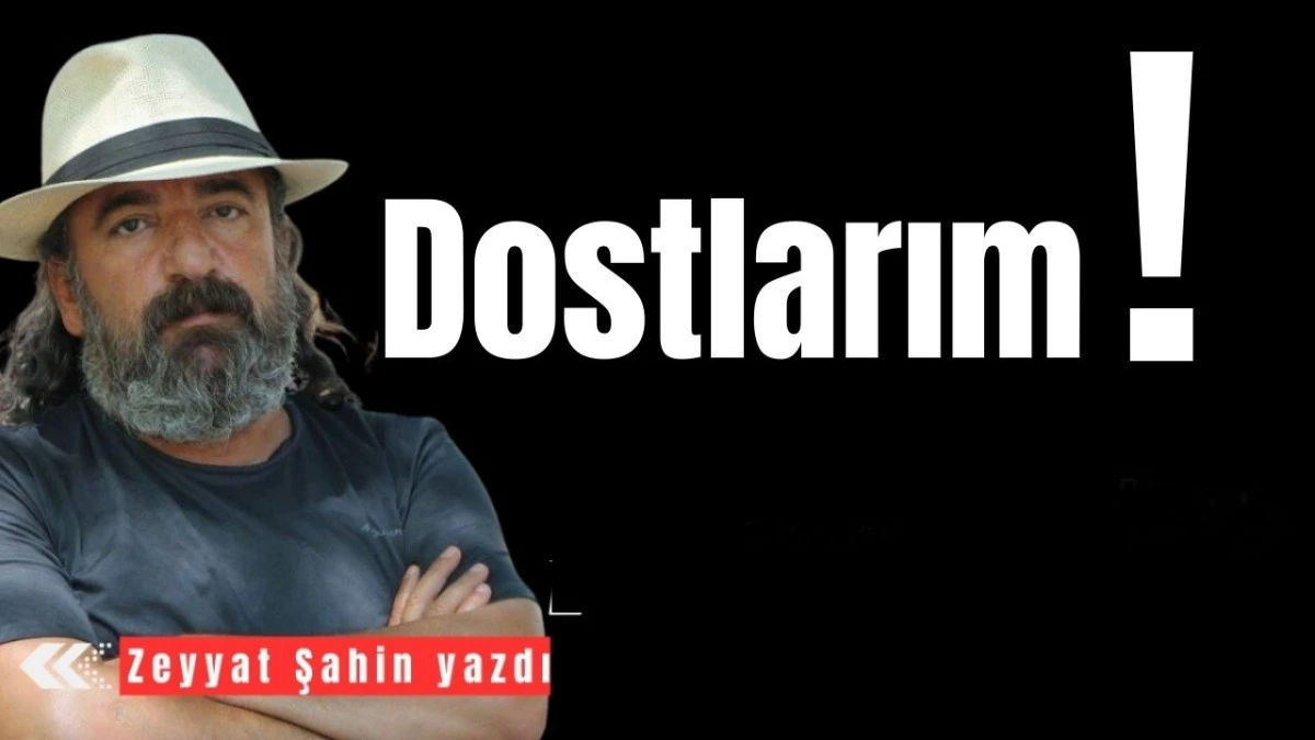Dostlarım!
