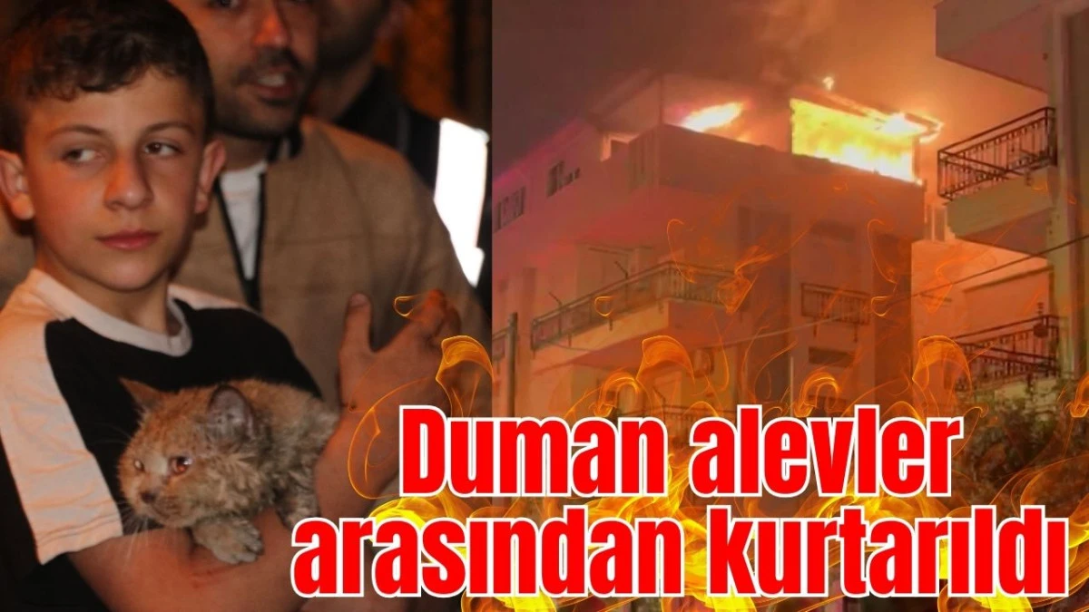 Antalya Kepez'de Duman, alevler arasından kurtarıldı