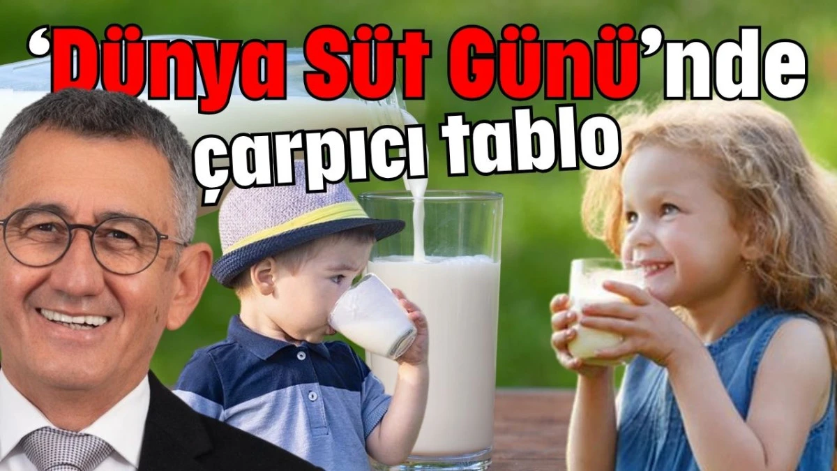 &lsquo;D&uuml;nya S&uuml;t G&uuml;n&uuml;&rsquo;nde &ccedil;arpıcı tablo