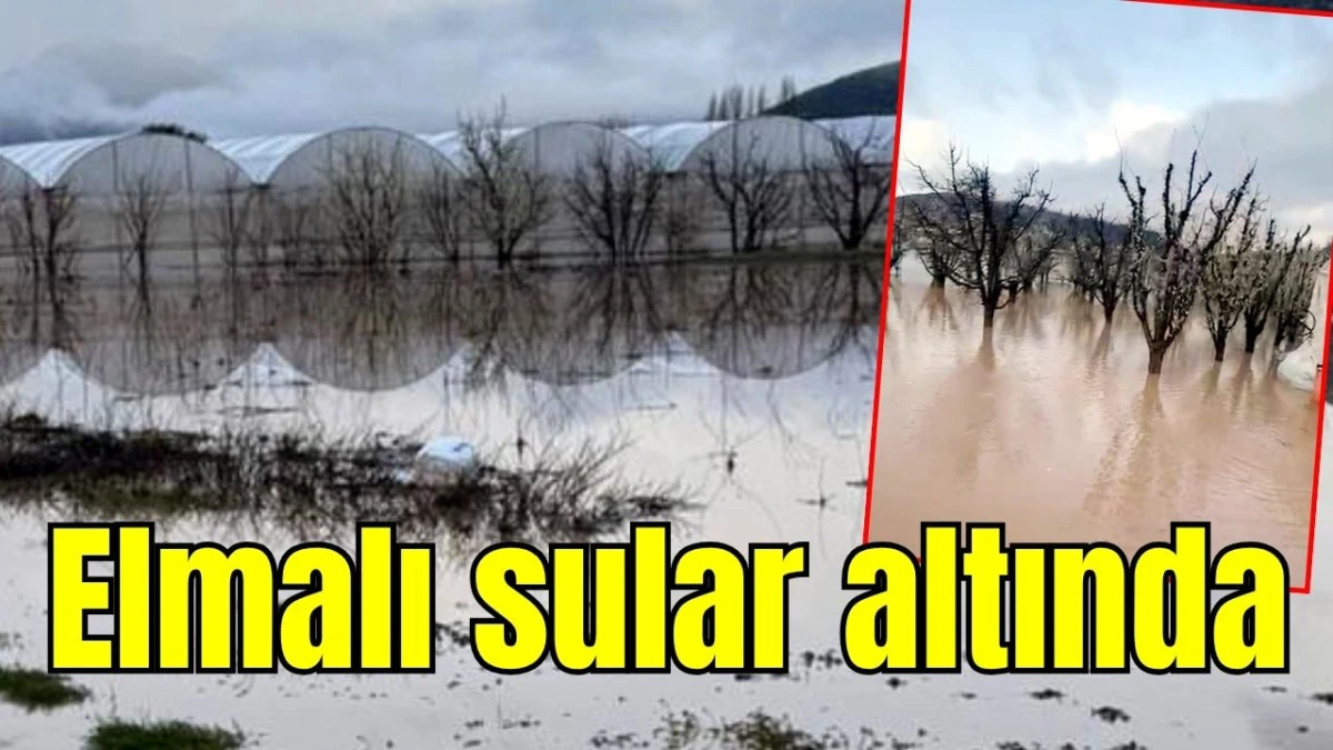 Elmalı sular altında