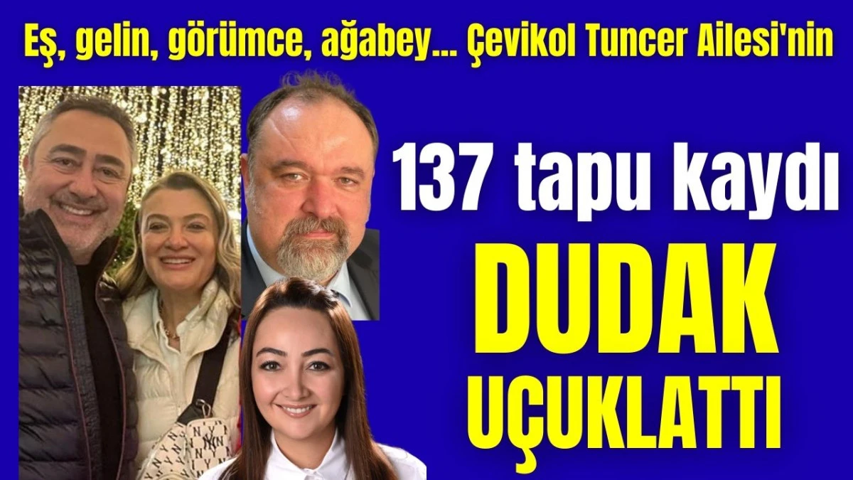 Eş, gelin, görümce, ağabey... Çevikol Tuncer Ailesi'nin 137 tapu kaydı dudak uçuklattı