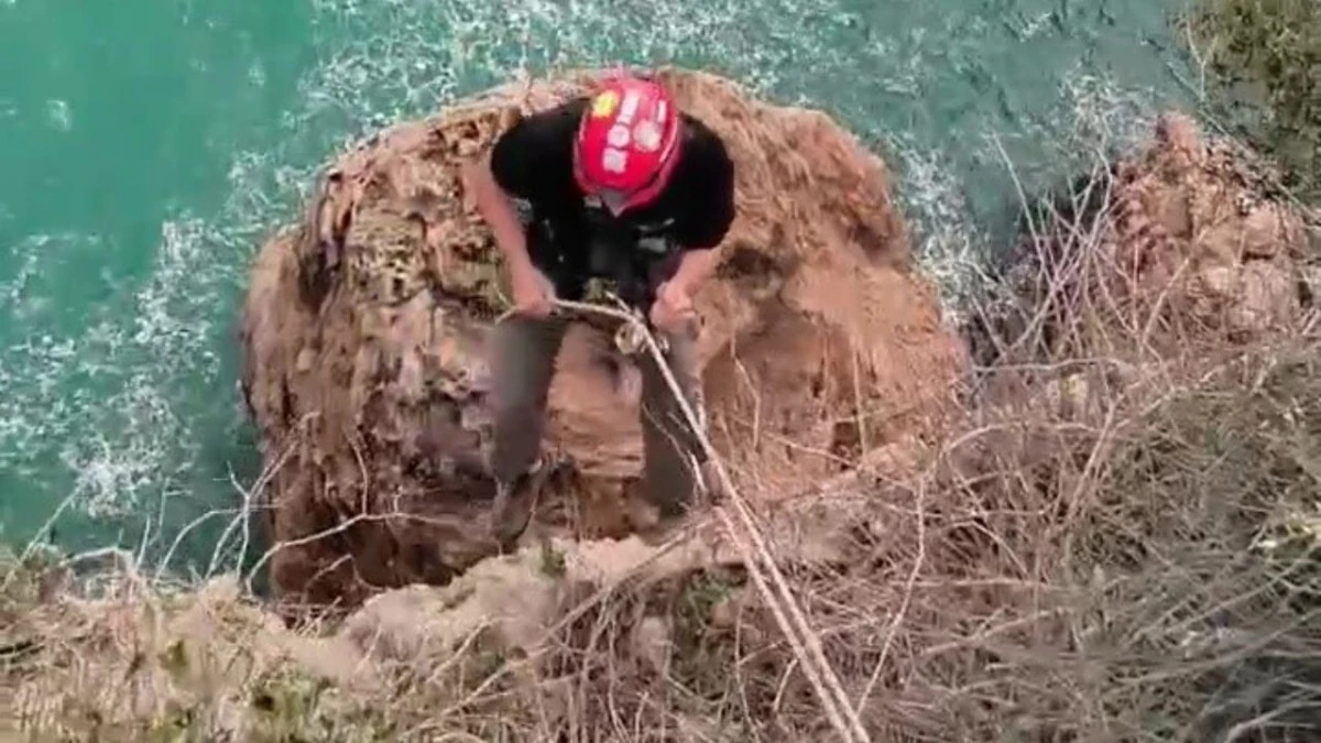 Falezlerde mahsur kalan kediyi film gibi operasyonla kurtardılar 