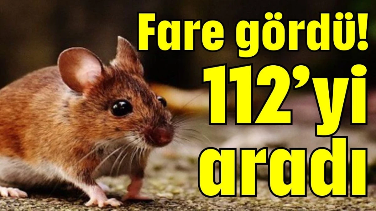 Fare g&ouml;rd&uuml;! 112&rsquo;yi aradı  