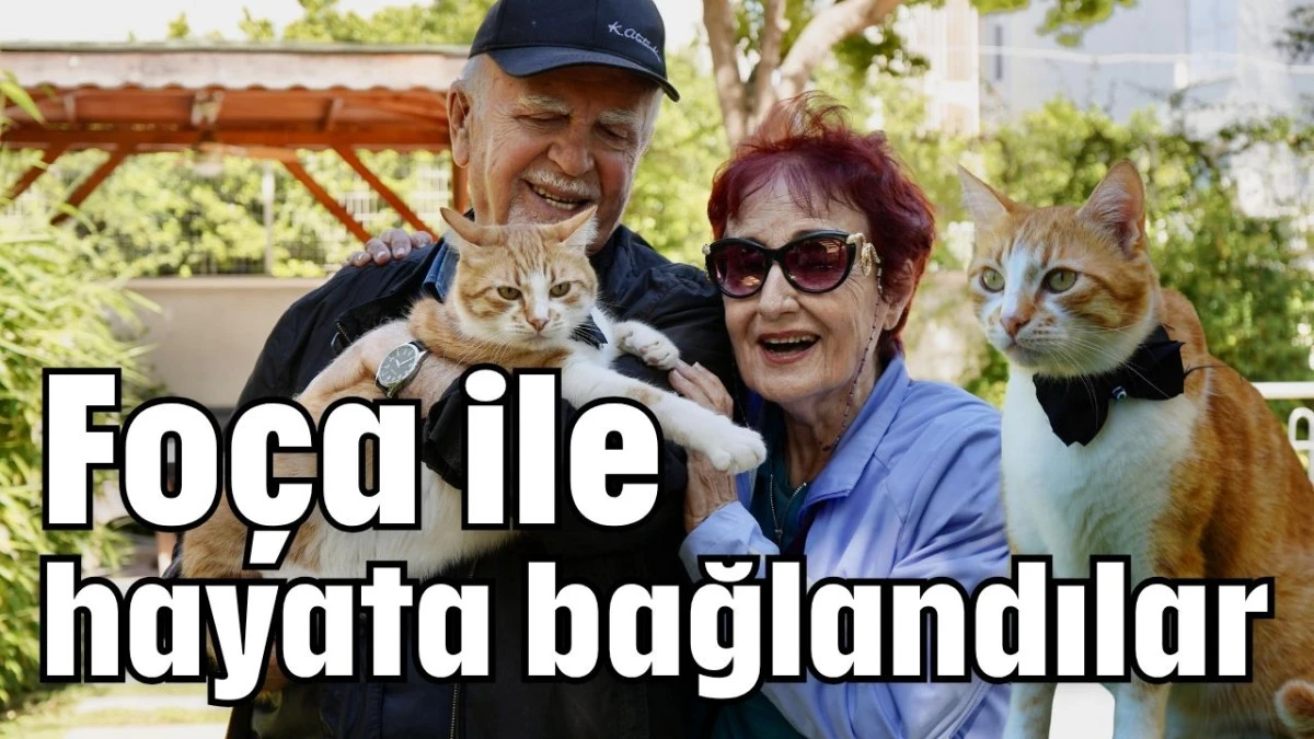 Fo&ccedil;a ile hayata bağlantılar 