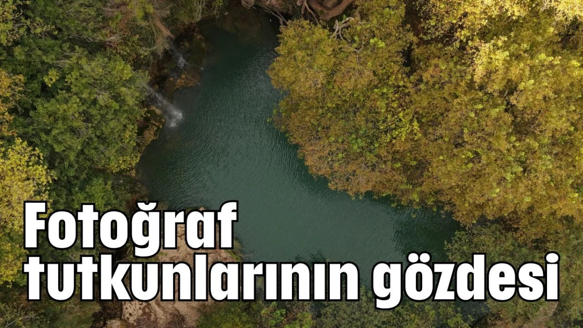 Fotoğraf tutkunlarının gözdesi