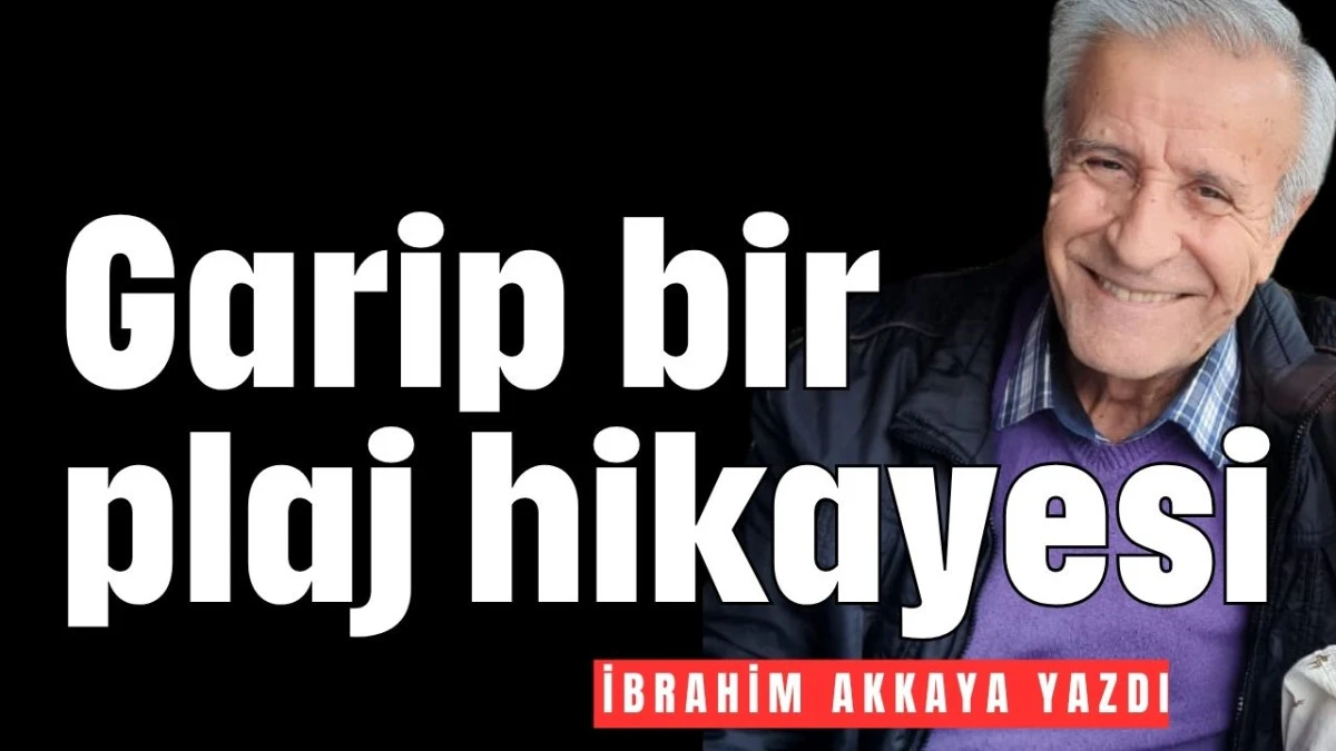 Garip bir plaj hikayesi  
