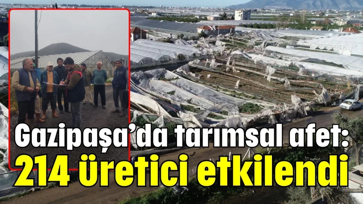 Gazipaşa&rsquo;da tarımsal afet: 214 &uuml;retici etkilendi