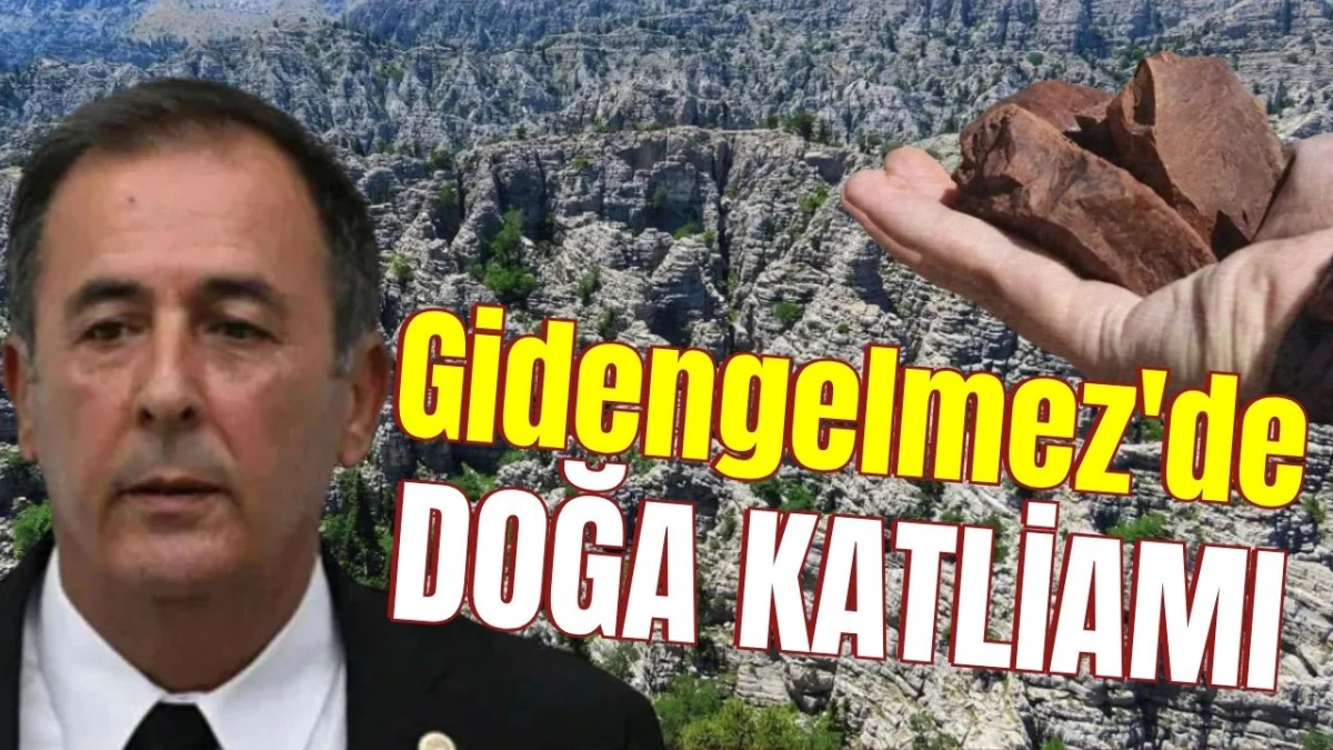 Gidengelmez'de doğa katliamı