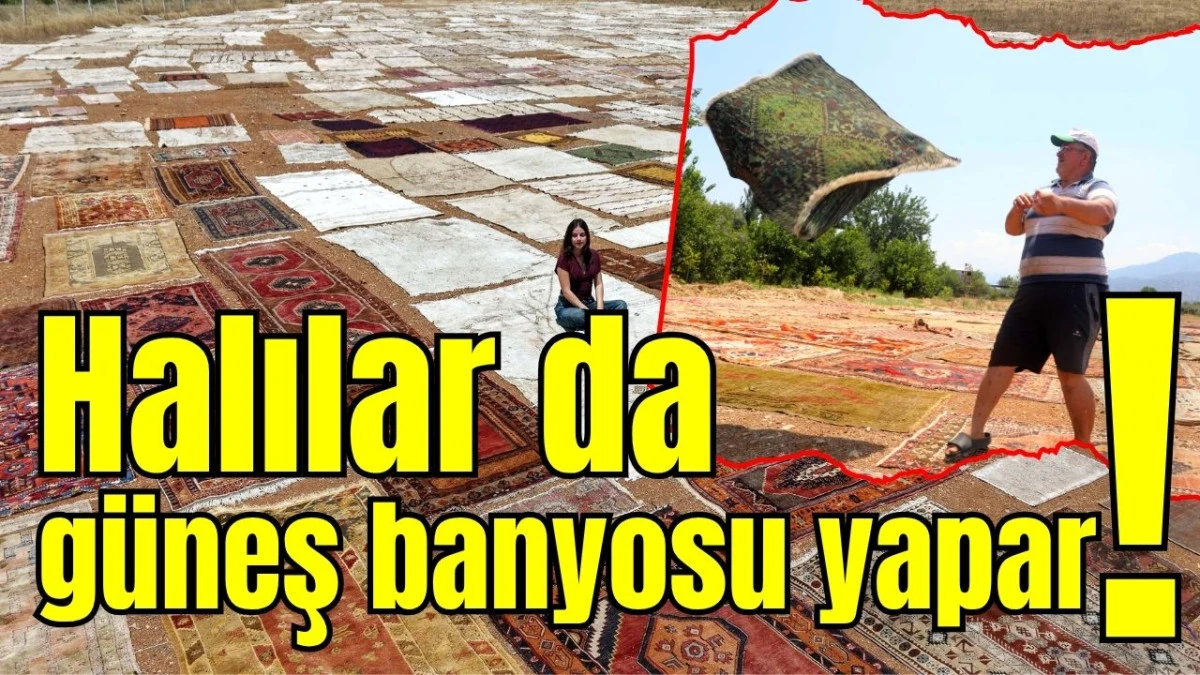 Halılar da g&uuml;neş banyosu yapar! 