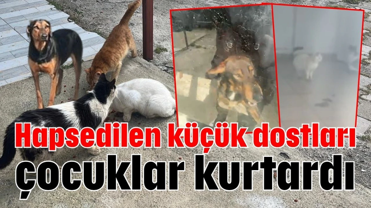 Hapsedilen k&uuml;&ccedil;&uuml;k dostları &ccedil;ocuklar kurtardı 