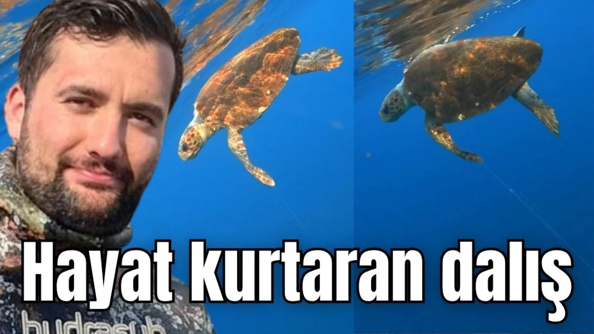 Hayat kurtaran dalış 
