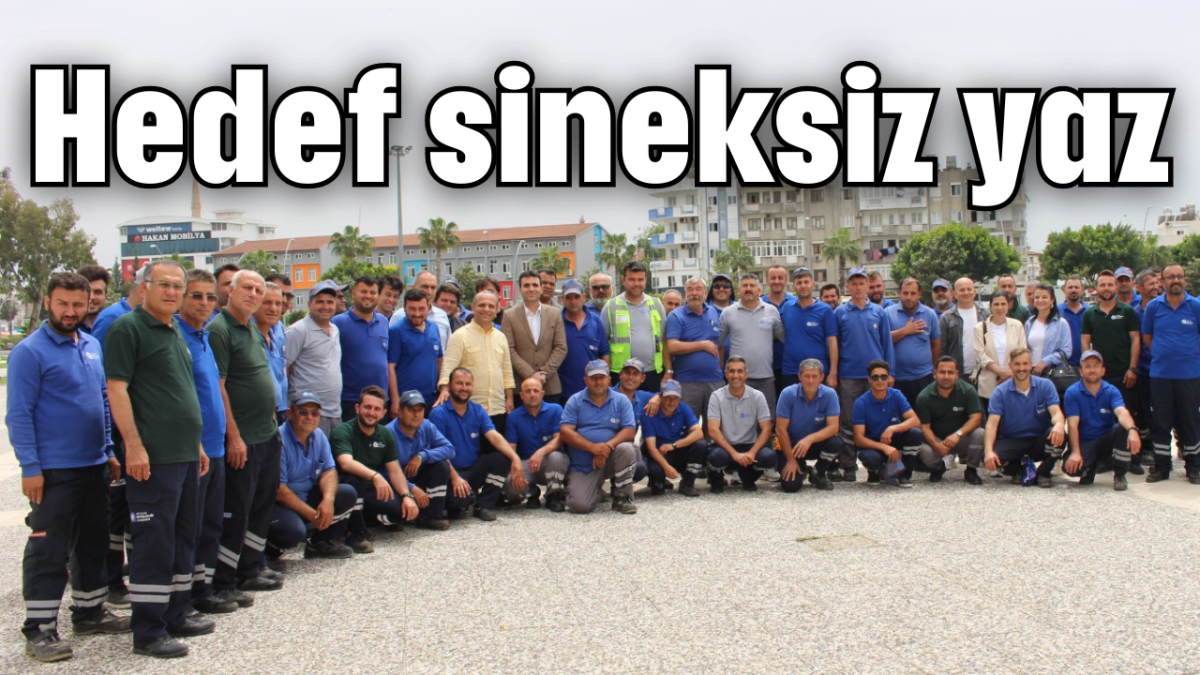 Hedef sineksiz yaz