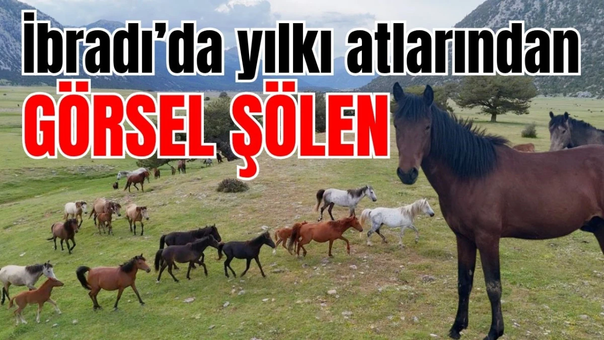 İbradı&rsquo;da yılkı atlarından g&ouml;rsel ş&ouml;len
