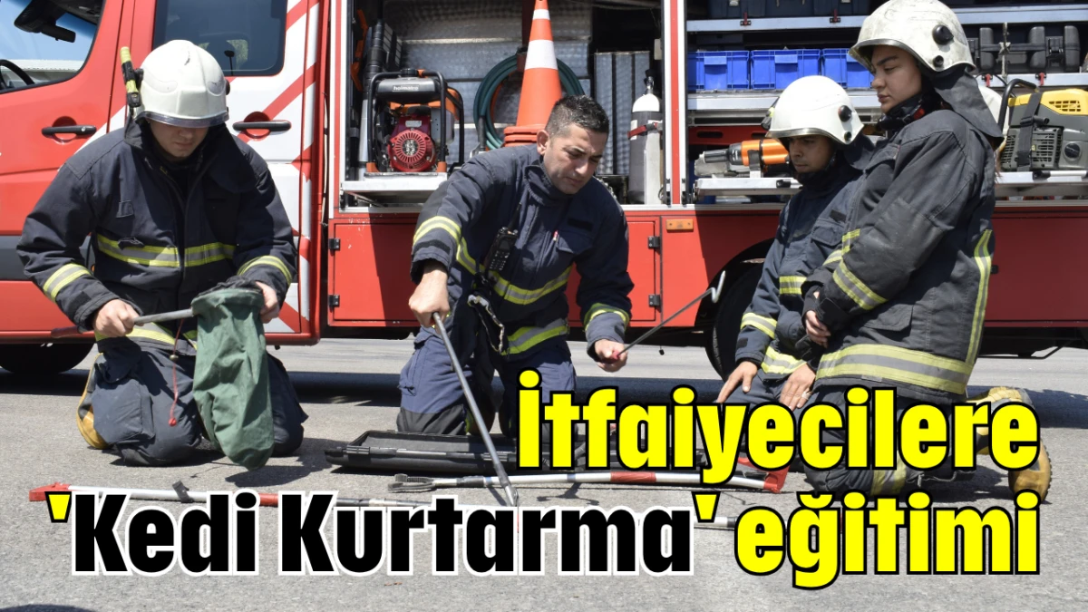 İtfaiyecilere 'Kedi Kurtarma' eğitimi  