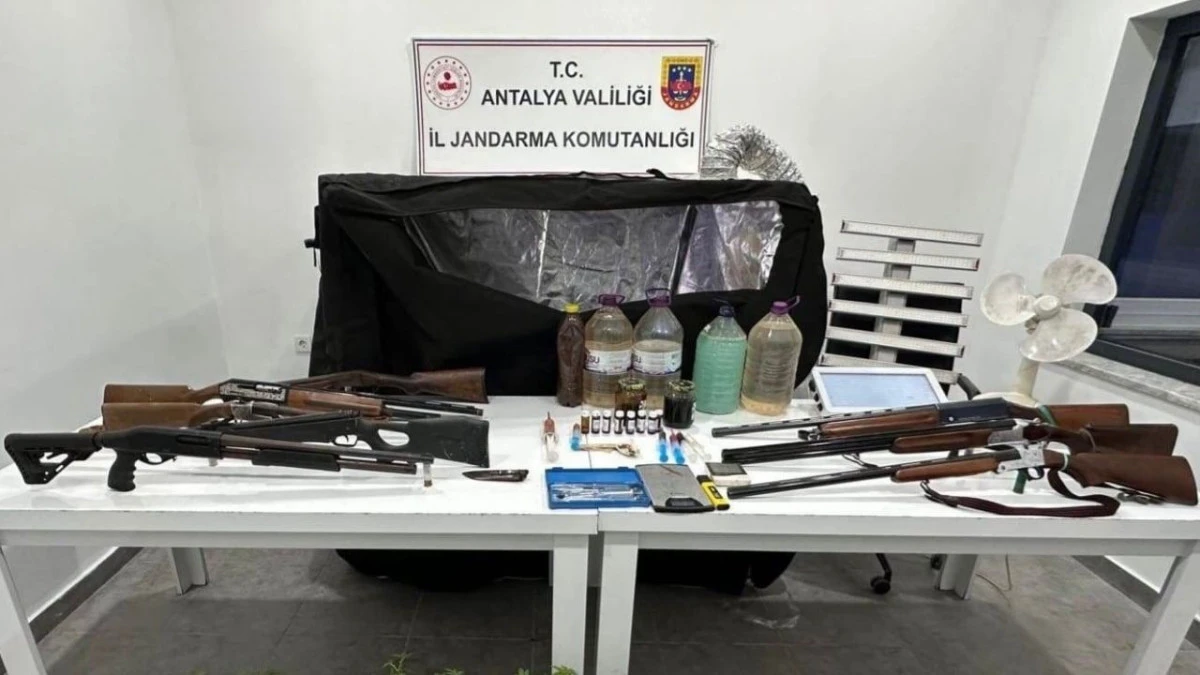 Jandarmadan uyuşturucu ve ruhsatsız silah operasyonu 