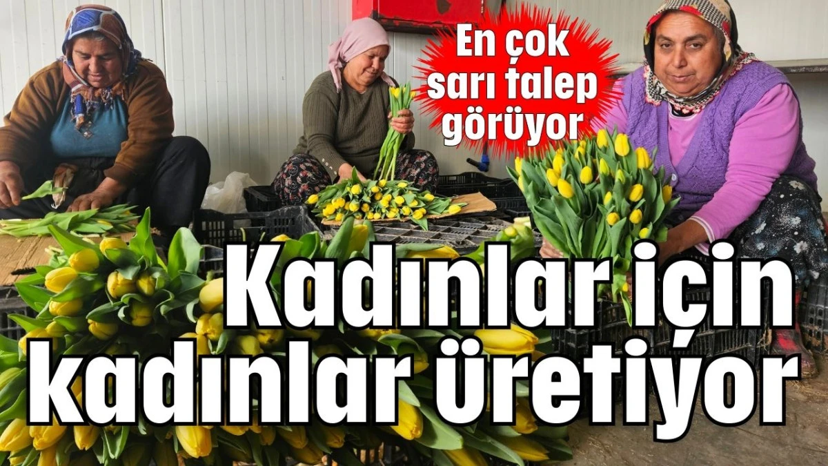Kadınlar i&ccedil;in kadınlar &uuml;retiyor 
