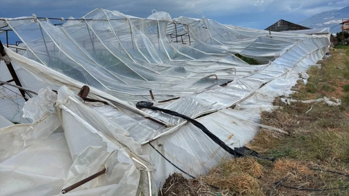 Kaş'ta fırtınadan seralar zarar g&ouml;rd&uuml;, ağa&ccedil;lar devrildi 