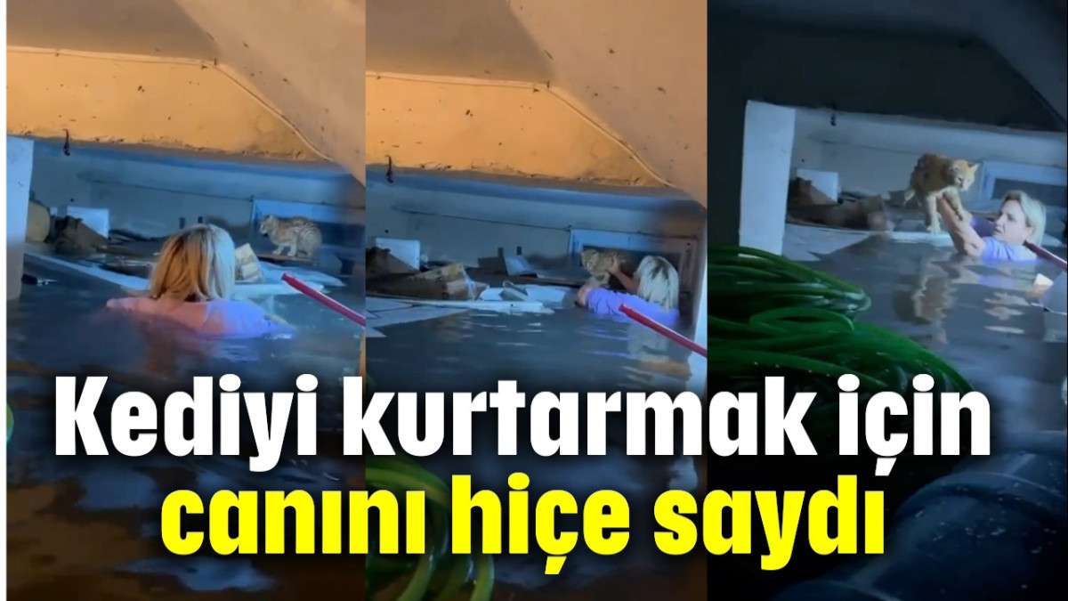 Kediyi kurtarmak için canını hiçe saydı