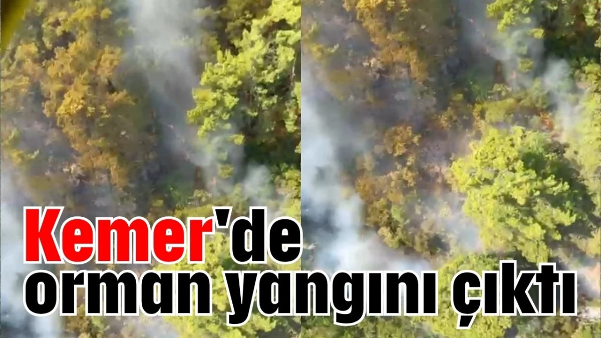 Kemer'de orman yangını çıktı 
