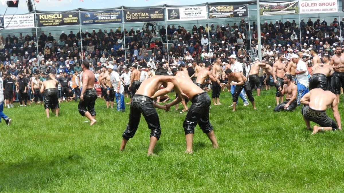 Kepez Yağlı Pehlivan G&uuml;reşleri'ne 984 pehlivan katıldı 