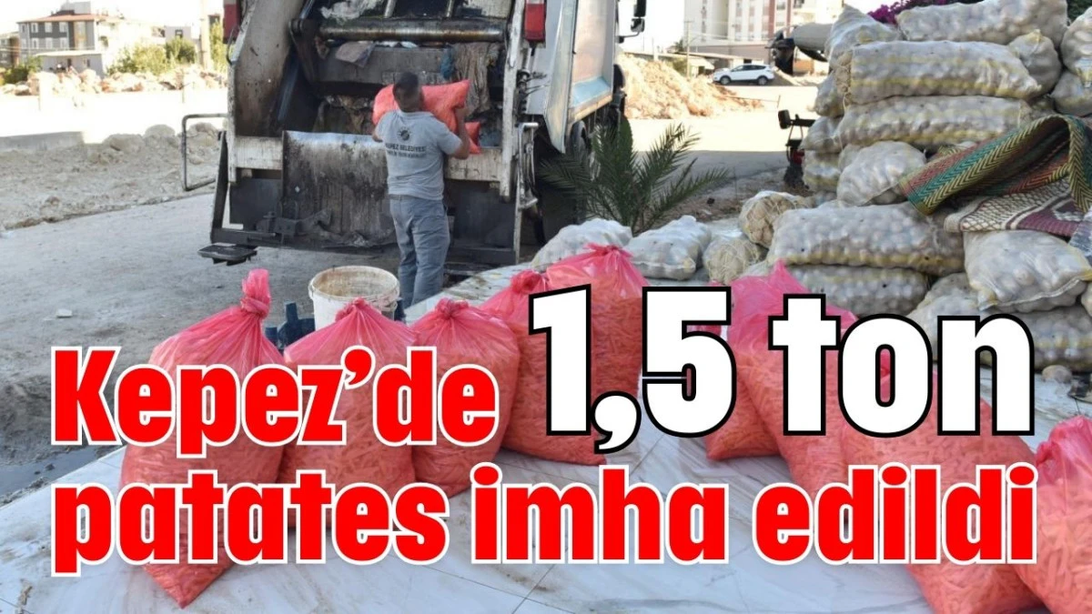 Kepez’de 1,5 ton patates imha edildi  