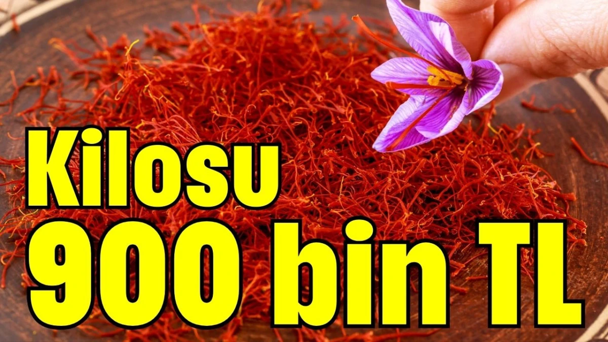 Kilosu 900 bin TL