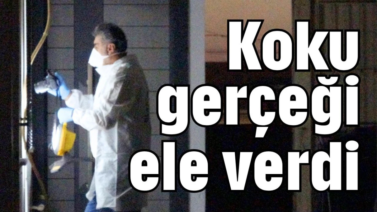 Koku gerçeği ele verdi 