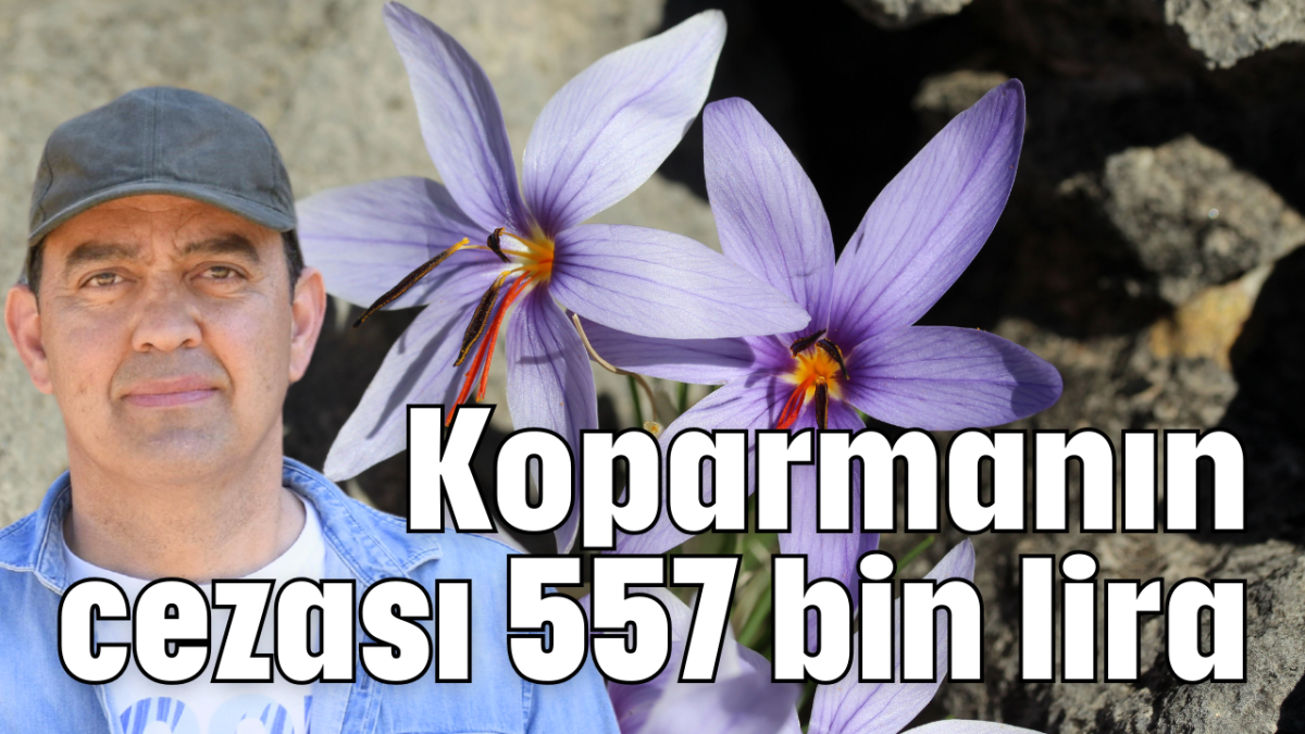 Koparmanın cezası 557 bin lira  