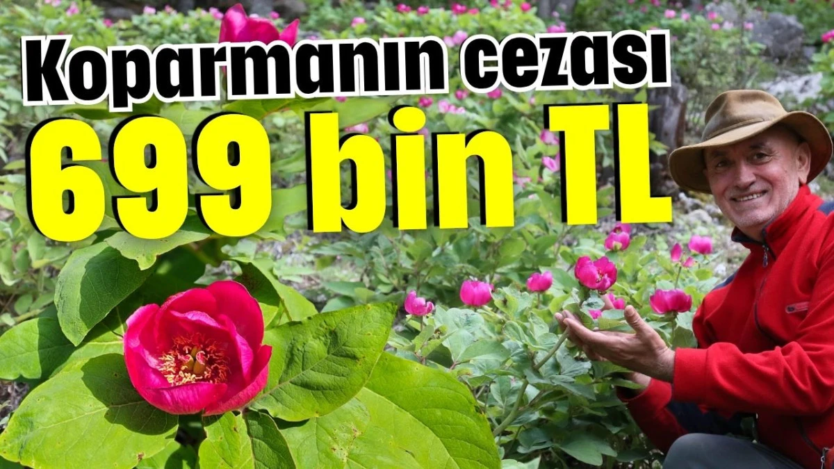 Koparmanın cezası 699 bin TL