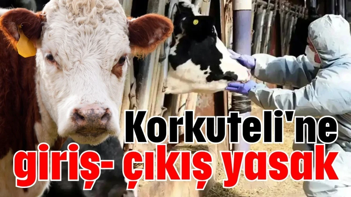 Korkuteli'ne giriş- çıkış yasak  