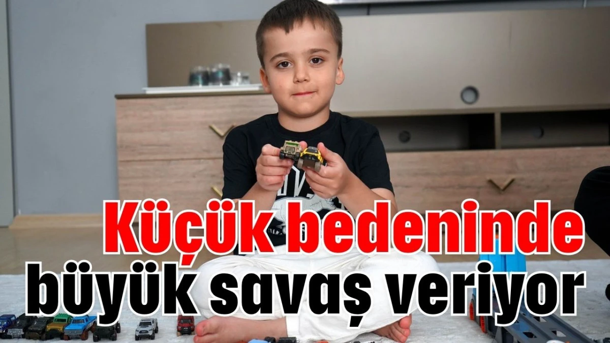 Küçük bedeninde büyük savaş veriyor  