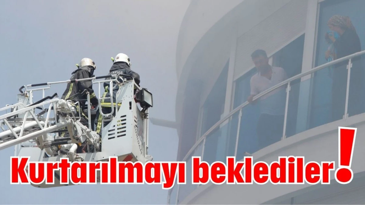 Kurtarılmayı beklediler!  