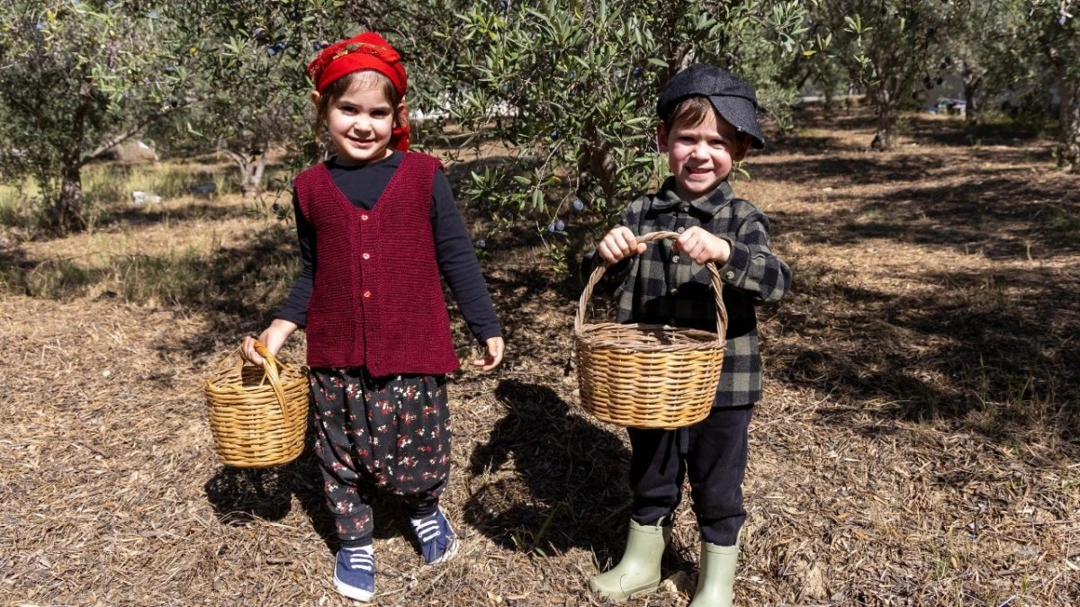 Manavgatlı minikler zeytin hasadında 