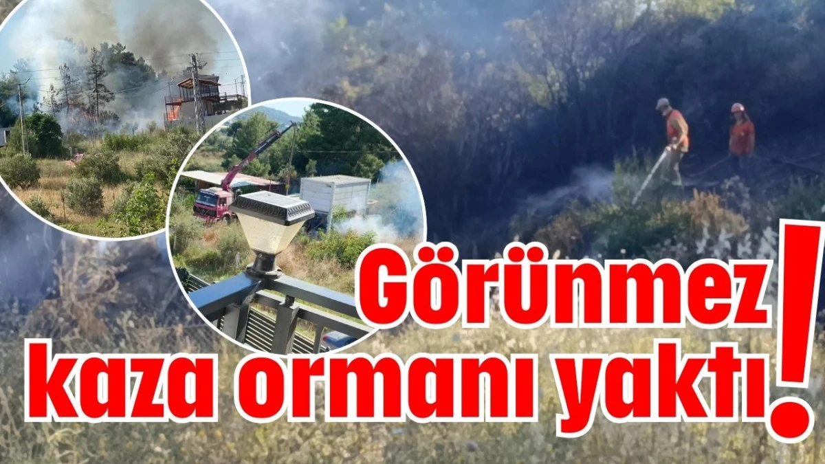 Manavgat'ta g&ouml;r&uuml;nmez kaza ormanı yaktı!