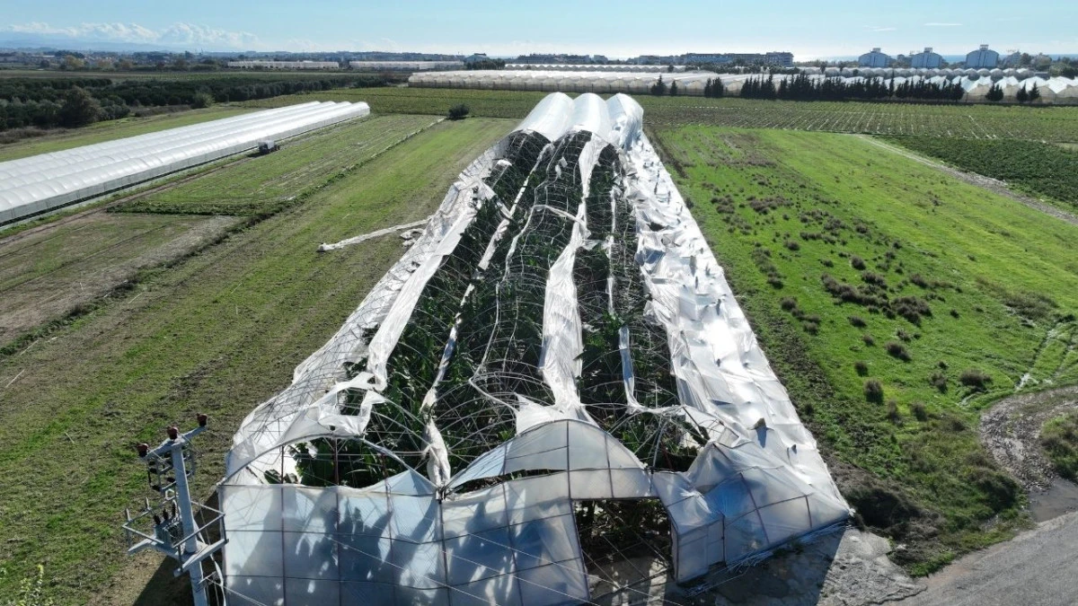 Manavgat'ta hortumun yaraları sarılıyor 