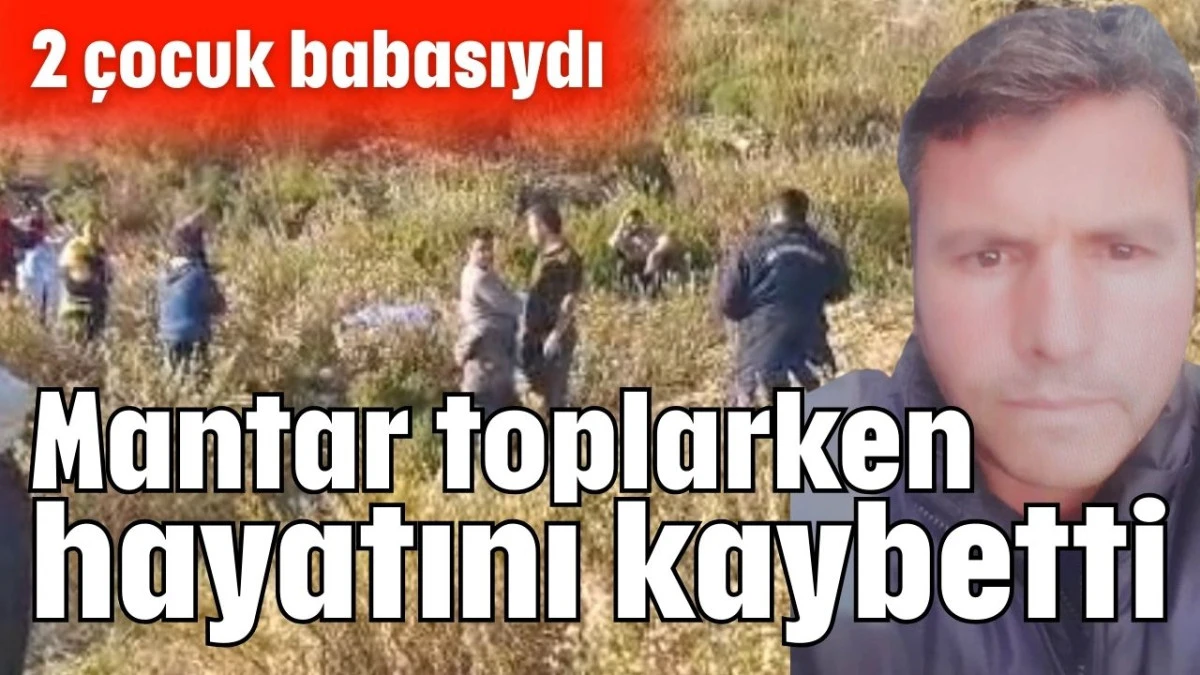 Mantar toplarken hayatını kaybetti 