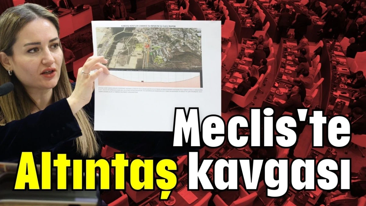 Meclis'te Altıntaş kavgası 