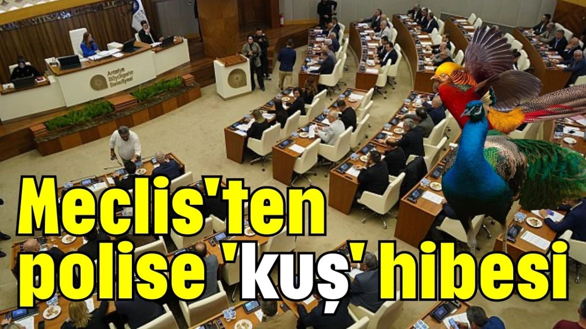 Meclis'ten polise 'kuş' hibesi 