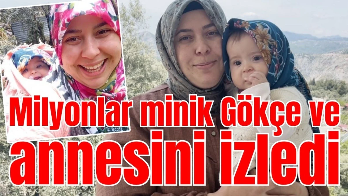 Milyonlar minik G&ouml;k&ccedil;e ve annesini izledi 