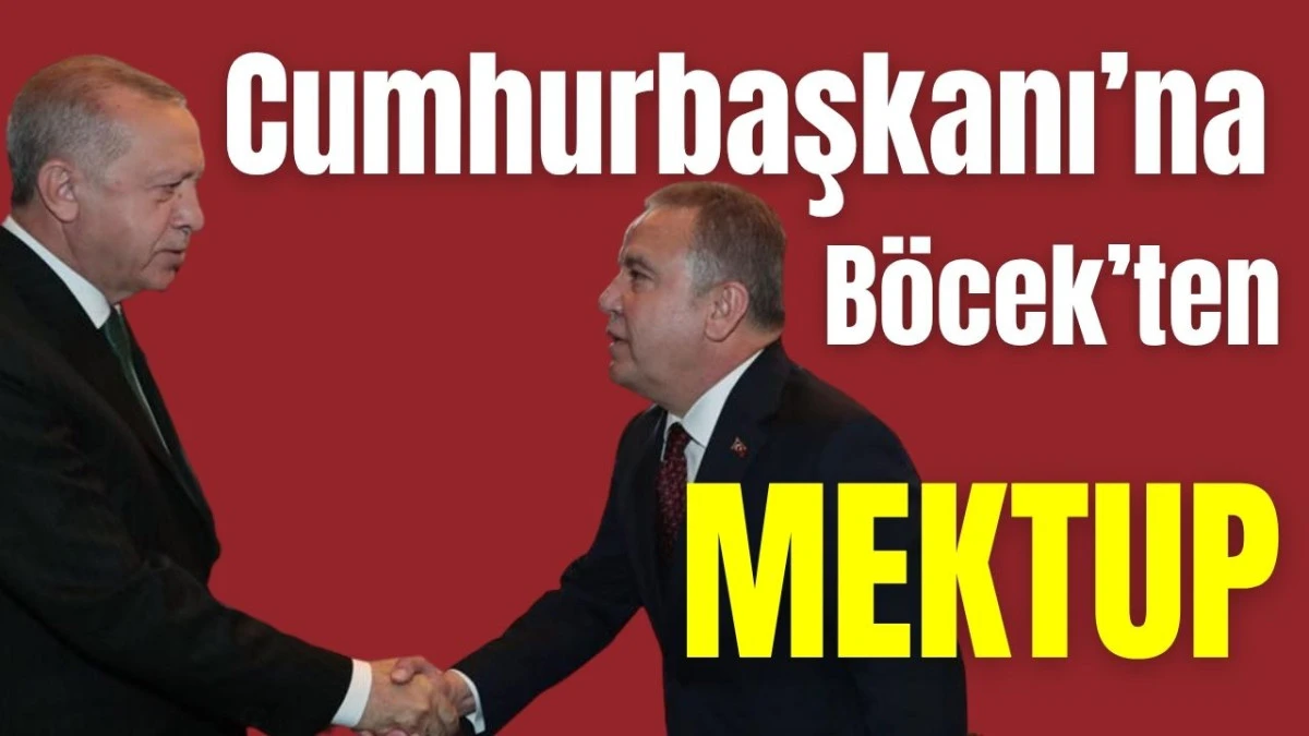 Muhittin Böcek, Cumhurbaşkanı'na mektup yazacak