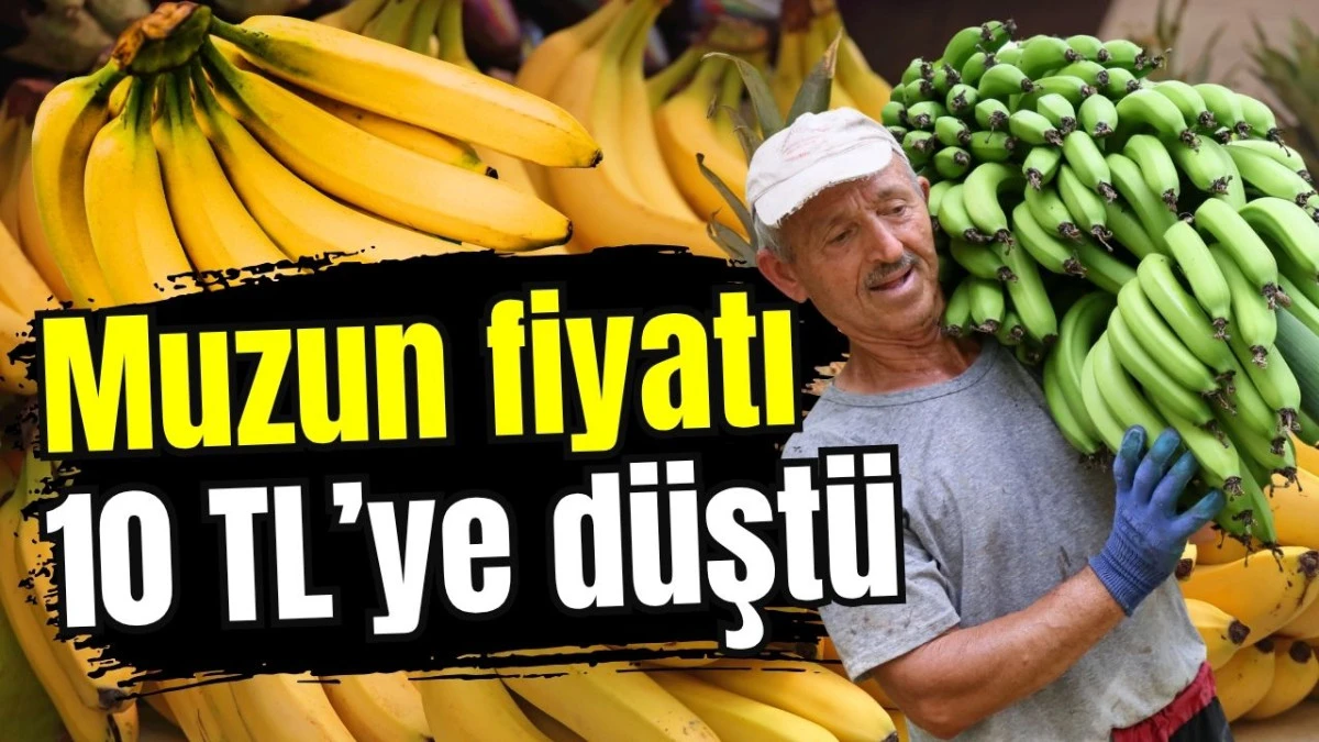 Muzun fiyatı 10 TL'ye d&uuml;şt&uuml;