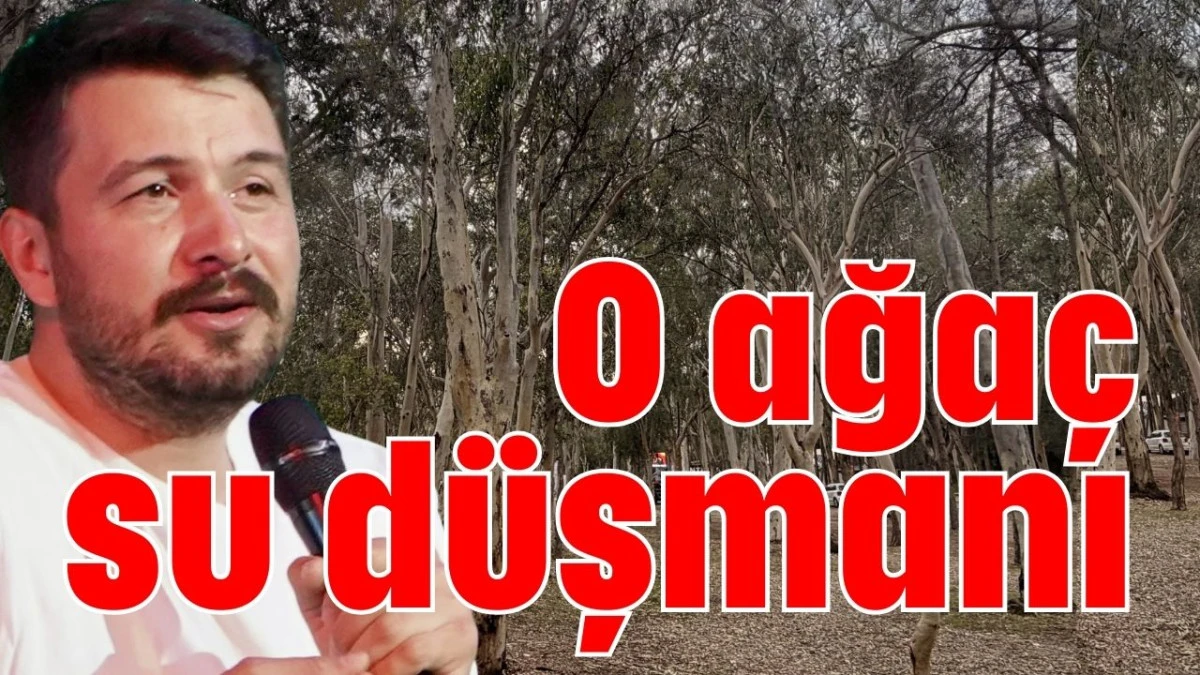 O ağa&ccedil; su d&uuml;şmanı 